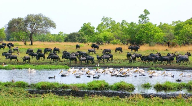 Kafue National Park, Zambia Wildlife safaris and Tours | 4x4 Self ...