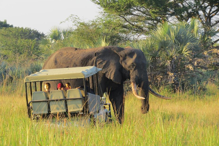 safari vehicle rental nairobi