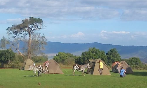 camping-safari