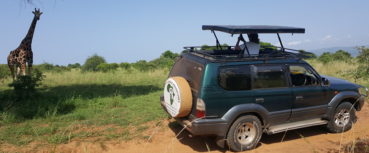 4x4 safari car hire uganda